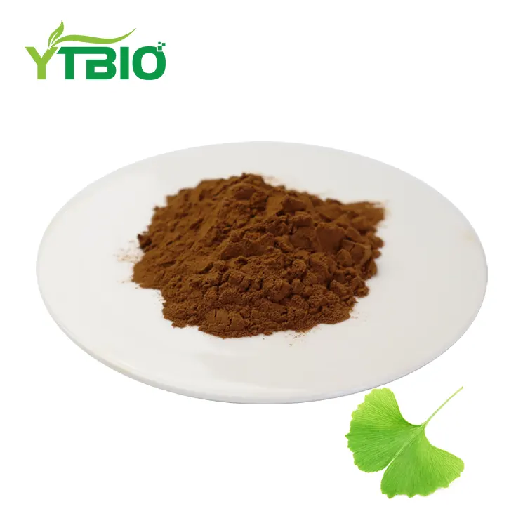 Ginkgo Extract Powder